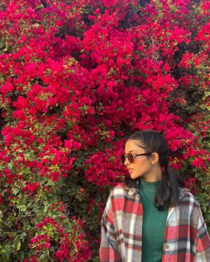 Mamitha Baiju Instagram - Lush, Wild & So full of colours...
She is a bougainvillea!💗
.
PC: @arsha_baiju (paranju idipichath..still i have doubts🤨😂)

#throwback#dubai