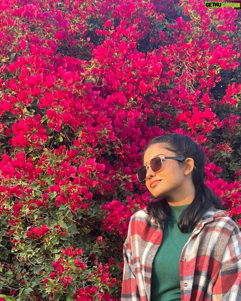 Mamitha Baiju Instagram - Lush, Wild & So full of colours... She is a bougainvillea!💗 . PC: @arsha_baiju (paranju idipichath..still i have doubts🤨😂) #throwback#dubai