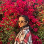 Mamitha Baiju Instagram – Lush, Wild & So full of colours…
She is a bougainvillea!💗
.
PC: @arsha_baiju (paranju idipichath..still i have doubts🤨😂)

#throwback#dubai