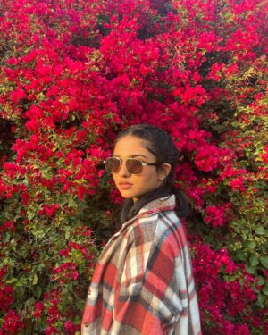 Mamitha Baiju Instagram - Lush, Wild & So full of colours...
She is a bougainvillea!💗
.
PC: @arsha_baiju (paranju idipichath..still i have doubts🤨😂)

#throwback#dubai