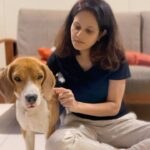 Manava Naik Instagram - Nepo and me on the #jumka #trendingsongs #beagle #dance