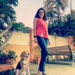 Manava Naik Instagram - Evening walks are good for health. #nepoandme #beagle #beagles #dogsofinstagram #pets #petsofinstagram #walks #life