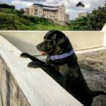 Manava Naik Instagram – We love you Neon .. RIP..