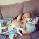 Manava Naik Instagram - Nepo's voice over: All get an off on sunday.. but you work.. #beagle #pet #sunday #work #holiday