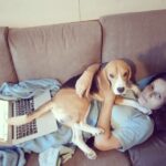 Manava Naik Instagram - Nepo's voice over: All get an off on sunday.. but you work.. #beagle #pet #sunday #work #holiday