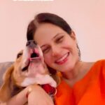 Manava Naik Instagram - Happy Diwali #happy #diwali #happydiwali #pets #petcare #nofirecrackers #nofireworks #nonoise #smiles #love #family #festive #home