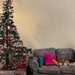 Manava Naik Instagram - Merry Christmas #christmas #happy #celebration #festive #xmas #25dec #silverbells #santa #holy #tree #holly
