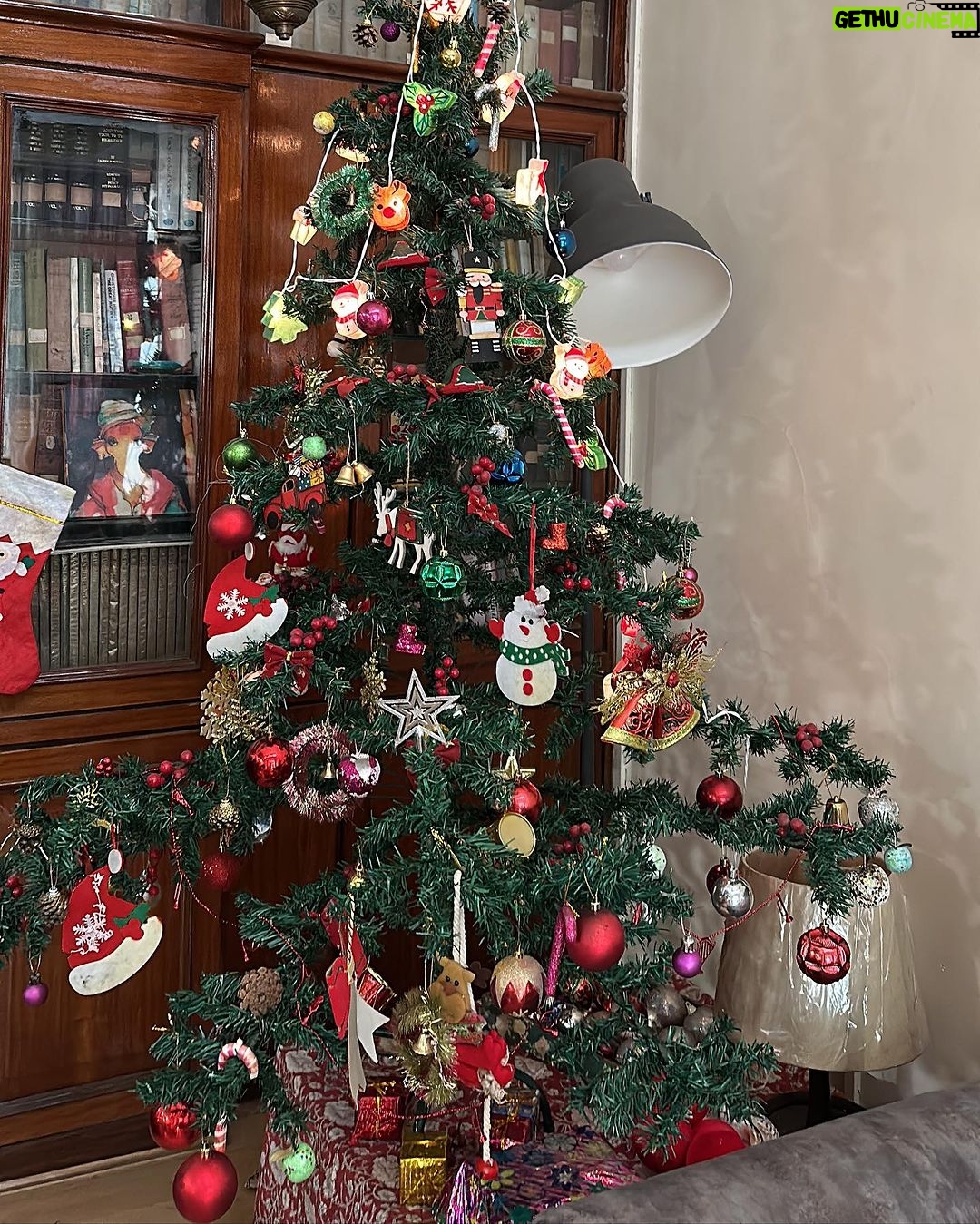 Manava Naik Instagram - Merry Christmas #christmas #happy #celebration #festive #xmas #25dec #silverbells #santa #holy #tree #holly