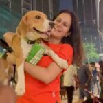 Manava Naik Instagram – Chaotic yet exciting video with Napoleon #petmarket #petstagram #beagles #dogs