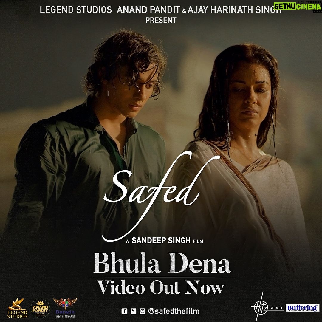Meera Chopra Instagram - @safedthefilm after a lot of hardwork, the first song is out!! Batao kaisa hai? https://youtu.be/BxM-n8HSQBw?si=qrwzNLlFJndlaPzj Bhula Dena Video Out Now. A Film By @officialsandipssingh. @subhankardeyofficial @monty_bassist @lyricsoham @tosiefshaikh @verma.abhay_ @meerachopra @barkhasengupta @chhaya.kadam.75 @jameel.mumbai @vinod.bhanushali @hitz.music.official Presented By @officiallegendstudios @anandpandit ajay.harinathsingh Co-Produced By @zafarmehdishaikh @the_vishal_gurnani @juhiparekhmehtaofficial @vikaasvishwakarma @ankitrajmusic #shreedharachari @sandeepviolin @prasad_loud @thewriteinsaan @sameerhallim @dopanirbanchatterjee @innovativeraaj @rahulomreniwal @samantchauhan @siddhartgarima @mallika_Dutt @paragnm @imsubhashshinde @amityeye @simmikent @tosiefshaikh @studiounees @deepaksahupr @kpublicity @duggal_shilpi @paragmaniar09 @vickkyidnaaniphotograpy @alaukikdesaiofficial