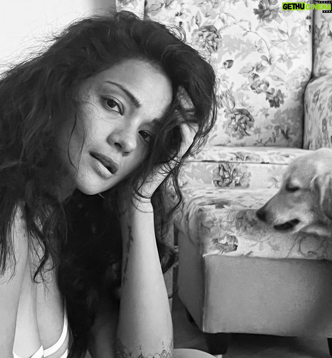 Megha Gupta Instagram - it’s the wild ones that set you free. mana is showing up to be a mini me as I slowly see her personality developing. She’s here to teach me and I certainly am ready for all the lessons. Sunday-ing in a sacred setting 🤍 #sunday #restday #goa #india #bw #bnw #goldenretriever #natural #rest #MeghaGupta
