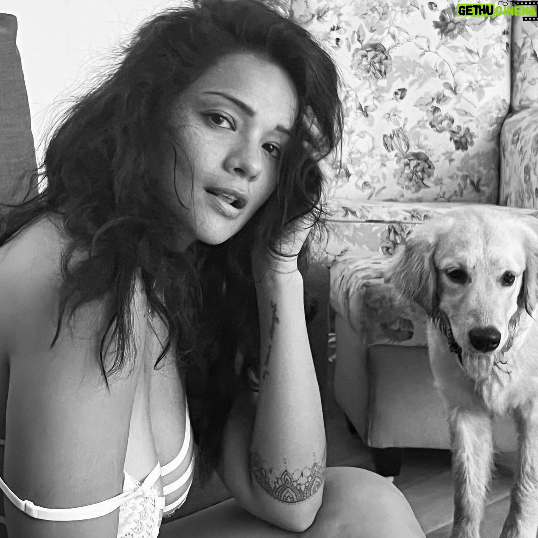 Megha Gupta Instagram - it’s the wild ones that set you free. mana is showing up to be a mini me as I slowly see her personality developing. She’s here to teach me and I certainly am ready for all the lessons. Sunday-ing in a sacred setting 🤍 #sunday #restday #goa #india #bw #bnw #goldenretriever #natural #rest #MeghaGupta