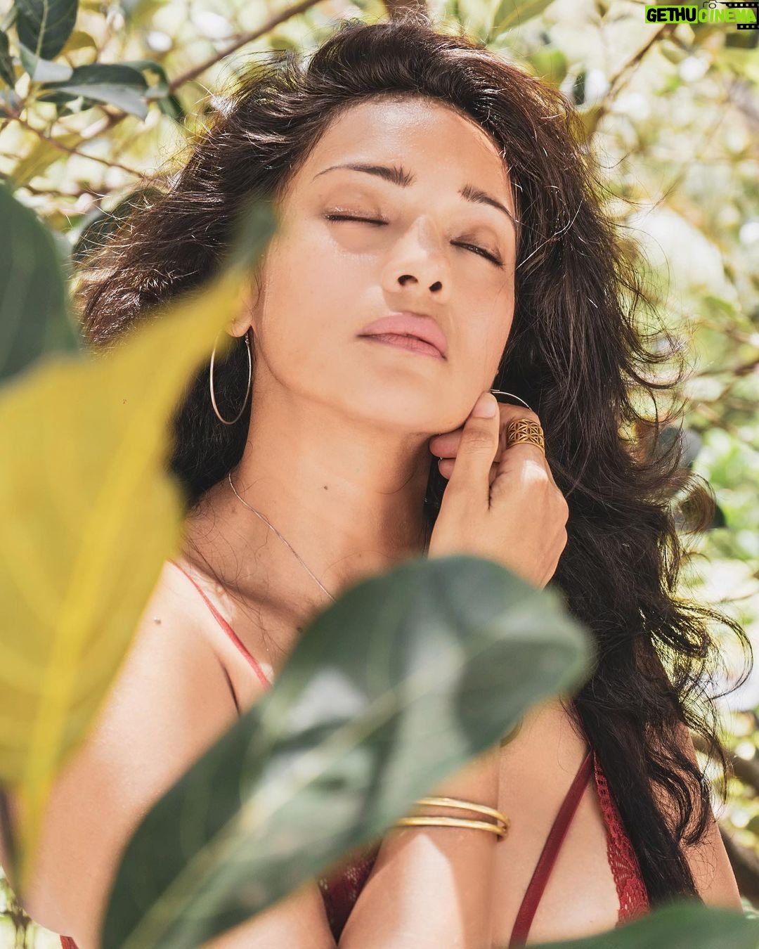 Megha Gupta Instagram - π ππππππ ππ πππ ππππππ π πππ ππππππ’ ππ π’ππ ππππππ ππππ π πππ ? #warriorenergy #warrior #mood #plants #green #channeling #goa #india