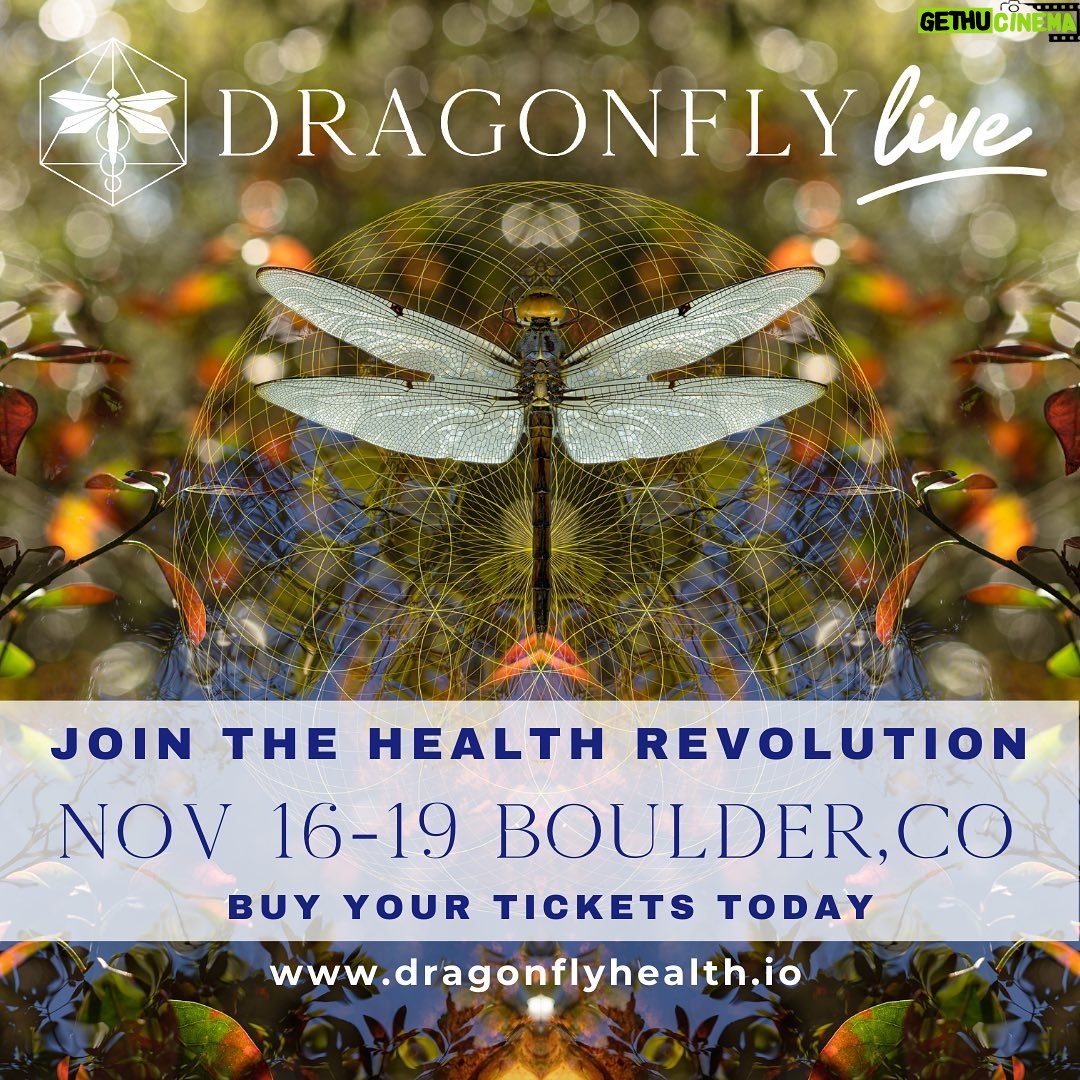 Megha Gupta Instagram - It’s truly my pleasure to let you all know, that I will be speaking at the @dragonfly_health in Boulder, Denver on the 17th of November. I’m looking forward to this talk which I’ve specially curated after going through many books, classes, courses, podcasts, events and conferences, and boiled it down to what’s truly important and what you would ideally like to take home and not do the work of knowing what to do. I’ll leave you to the “doing” part. The part where you put in the work. We dive deep into Biohacking the Holistic way and keep circling back to the mantra of “simple living is not a step back” and questioning what the magic pill truly is. I hope to see you there. breath well, megha #biohacking #biohacks #holistichealth #holistic #indianphotography #indian #usa #boulder #denver #colorado #health #wellness #heal #nature #ootd #sacred #spirituality #MeghaGupta