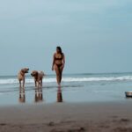 Megha Gupta Instagram - 𝟹 𝚝𝚑𝚒𝚗𝚐𝚜 - 𝙷𝚎𝚊𝚟𝚢 𝚘𝚗 𝚔𝚎𝚎𝚙𝚒𝚗𝚐 𝚝𝚘𝚍𝚊𝚢 𝚕𝚒𝚐𝚑𝚝 𝙶𝚒𝚟𝚒𝚗𝚐 𝚖𝚢𝚜𝚎𝚕𝚏 𝚝𝚑𝚎 𝚙𝚎𝚛𝚖𝚒𝚜𝚜𝚒𝚘𝚗 𝚊𝚗𝚍 𝚏𝚛𝚎𝚎𝚍𝚘𝚖 𝚝𝚘 𝚋𝚎 𝚖𝚒𝚜𝚞𝚗𝚍𝚎𝚛𝚜𝚝𝚘𝚘𝚍 𝙿𝚕𝚊𝚢𝚏𝚞𝚕 #saturday #LetsPlay #Goa #india #beachbum #beachlife #beach #dogsofinstagram #labrador #golden #retreiversofinstagram #instagram #mood #sun #sand #bikinilife #bikini #reelsinstagram #reels #meghagupta