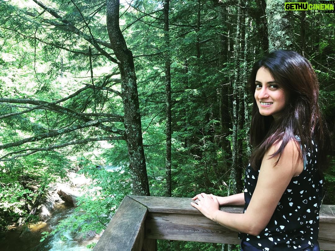 Mihika Verma - 38.6K Likes - "Wild Wild" Thoughts ☘️