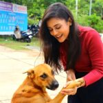 Mishti Instagram – Life is where love is….

#straydog #adoptdontshop #dogsofinstagram #dogs #dog #straydogs #dogstagram #streetdogs #streetdog #doglover #puppy #doglovers #love  #dogoftheday #instagram #instadog #doglife #dogsofinsta #puppiesofinstagram #puppylove  #streetdogsofindia #straydogsofinstagram  #dogsofindia #cutiepie