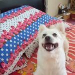 Mishti Instagram – Look what i found…. !!!
A major #throwback to the only true #love of my life ❤❤❤ #SHADOW 
#cute #doggy #cutiepie