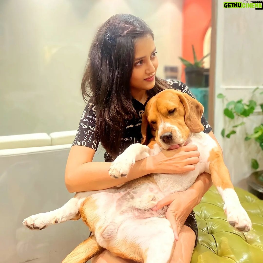 Mishti - 17.8K Likes - The best photoshoot partner😂
.
#mishtichakravarty #cute #cutepuppy #cutepuppies #instagood #realfun #dogsofinstagram #doggolove #puppiesofinstagram #puppy #instagood #puppylove #doggy