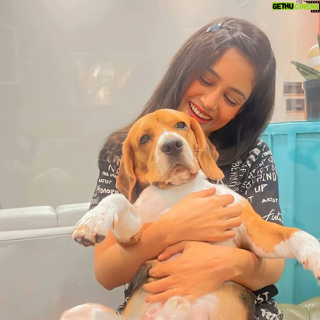 Mishti - 17.8K Likes - The best photoshoot partner😂
.
#mishtichakravarty #cute #cutepuppy #cutepuppies #instagood #realfun #dogsofinstagram #doggolove #puppiesofinstagram #puppy #instagood #puppylove #doggy
