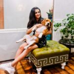 Mishti Instagram - The best photoshoot partner😂 . #mishtichakravarty #cute #cutepuppy #cutepuppies #instagood #realfun #dogsofinstagram #doggolove #puppiesofinstagram #puppy #instagood #puppylove #doggy