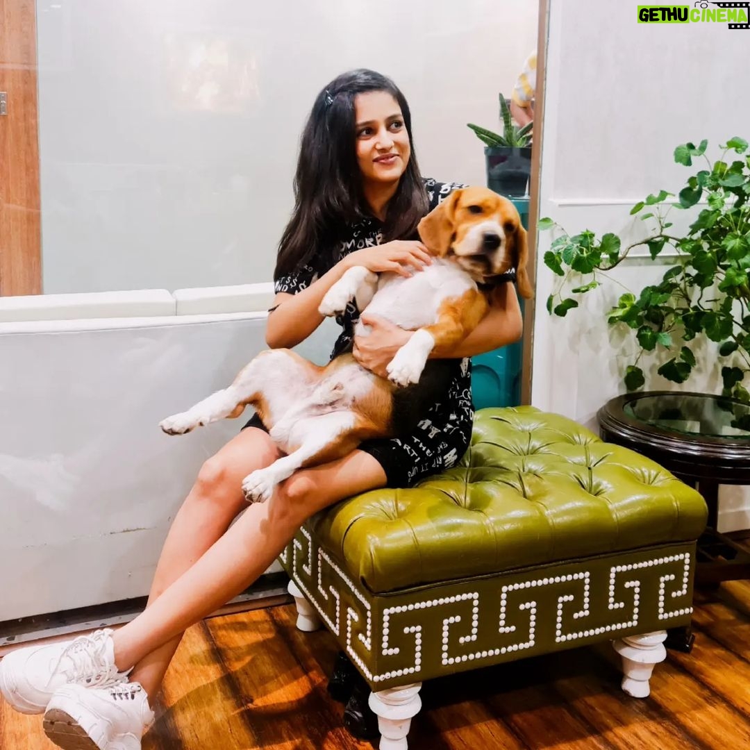 Mishti - 17.8K Likes - The best photoshoot partner😂
.
#mishtichakravarty #cute #cutepuppy #cutepuppies #instagood #realfun #dogsofinstagram #doggolove #puppiesofinstagram #puppy #instagood #puppylove #doggy