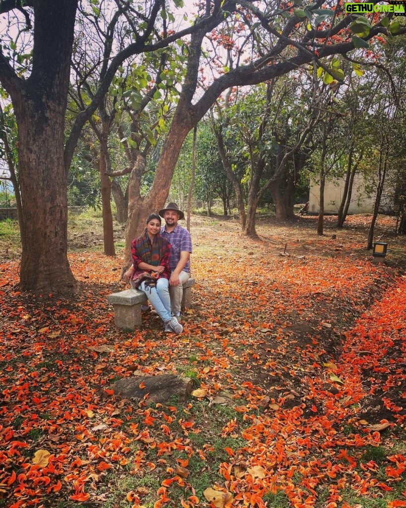 Mohena Singh Instagram - Nature. Cheaper than therapy. #more-effective 🍂 What say @suyeshrawat !? #nature #lovers Bandipur, Karnataka, India