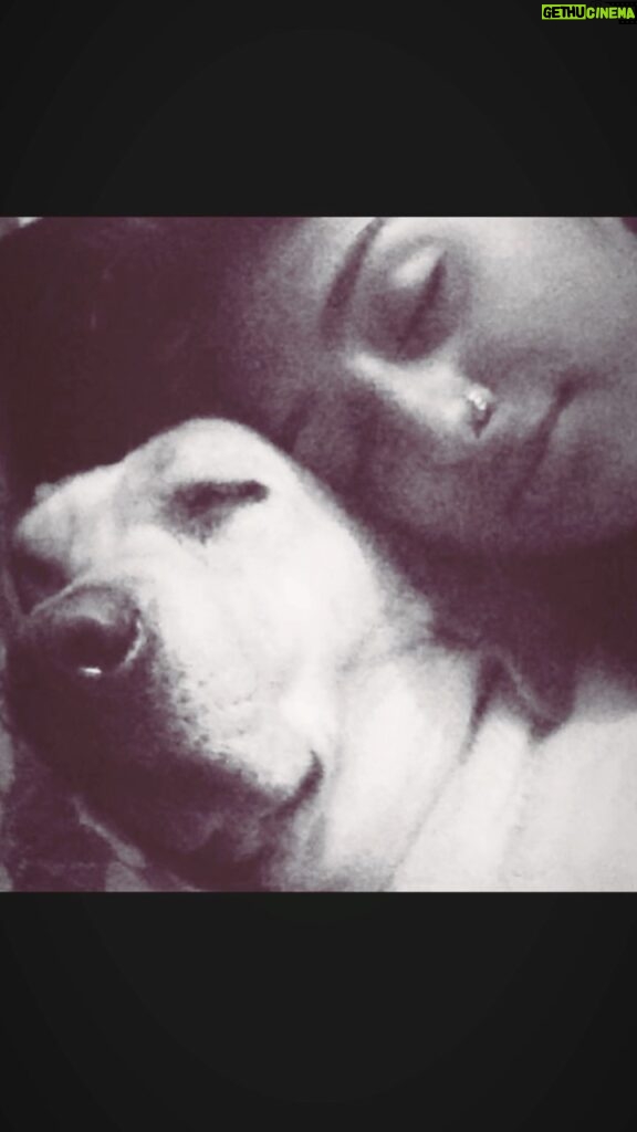 Mohena Singh Instagram - Goodbyes are inevitable. It’s the truth of life. Everything that begins shall end someday. Everyone must be strong and face this truth. But today I’ll mourn her loss, today I’ll celebrate her life , today I’ll let myself go. For the love and loyalty she gave us I can face the truth tomorrow and I can be strong tomorrow. Today I bid you goodbye my love. My baby girl. My Bella Bells.