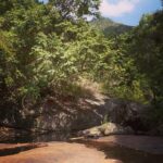 Nakshatra Murthy Instagram - A TREK in Kodai 🌳 ! With my people . Just what we needed. A break from the world. Into the nature 🌲🍃🍂 . #trek #nature #trekking #kodaikanal #kodai #waterfall