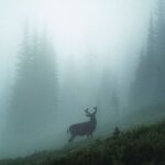 Nakshatra Murthy Instagram - Sometimes when u lose your way in the mist , you search for someone to help , but none of them appear But u find your own way , cross tons of hurdles and finally end up in a beautiful place. When u turn back and see , everything will be covered in the mist . All you remember now is the beautiful place you ended up in. So never expect people to give u hope or a hand to help u move on . You do that all by yourself. Healing and loving yourself is a process for a beautiful future my love 🦋 . Don’t be afraid of getting lost ❤️ . Said by - Me 🌧️ Santhome Beach