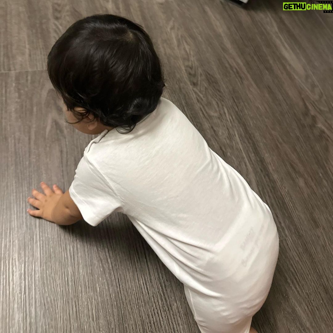 Natasa Stankovic Instagram - Happy 1st Bebee ❤️ #mylion 🦁