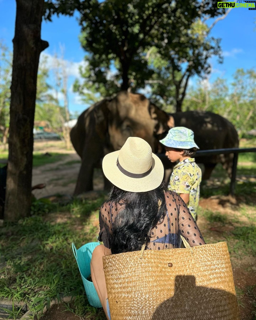 Natasa Stankovic Instagram - 🐘 ❤️ Phuket