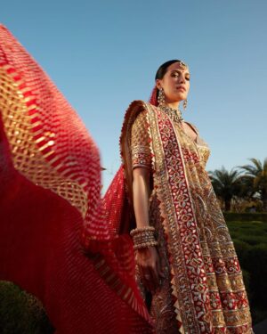 Natasa Stankovic Instagram - Living My Dream! ❤️

Infinite Joy as Hardik and I look forward to a Future of Endless Love.

It was absolutely magical to renew our vows in the presence of our family and friends. 

Thank you Abu Jani and Sandeep Khosla for making us feel like a Fairytale bride and groom.
@abujanisandeepkhosla @abujani1 @sandeepkhosla 

Stylist - @nikitajaisinghani 
Jewellery- @manubhaijewels 
Hair - @marcepedrozo 
Make up - @bymaniasha 
Drapper - @dolly.jain 
Photo -  @rahuljhangiani