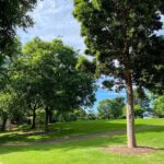 Natasa Stankovic Instagram - Adelaide Botanic Garden