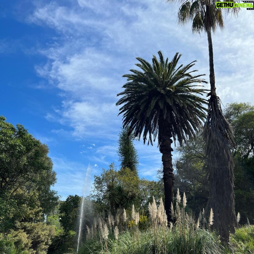 Natasa Stankovic Instagram - Adelaide Botanic Garden
