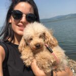 Natasa Stankovic Instagram - 💔🥺😇 Eliot ❤️ love you forever my first furry baby 💔💫✨ 13.03.2007-27.09.2022
