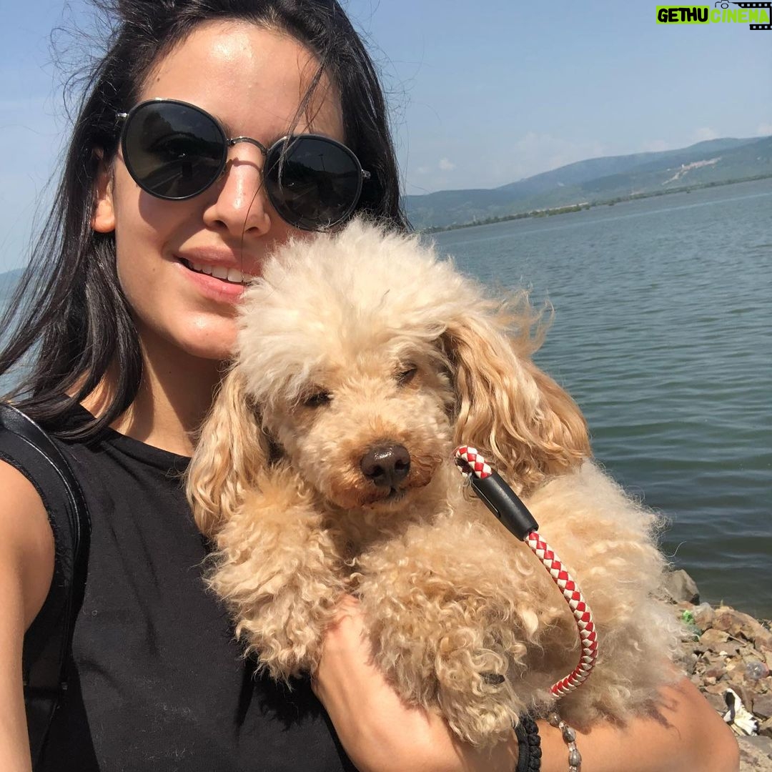 Natasa Stankovic Instagram - ππ₯Ίπ Eliot β€οΈ love you forever my first furry baby ππ«β¨ 13.03.2007-27.09.2022