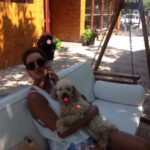 Natasa Stankovic Instagram - 💔🥺😇 Eliot ❤️ love you forever my first furry baby 💔💫✨ 13.03.2007-27.09.2022
