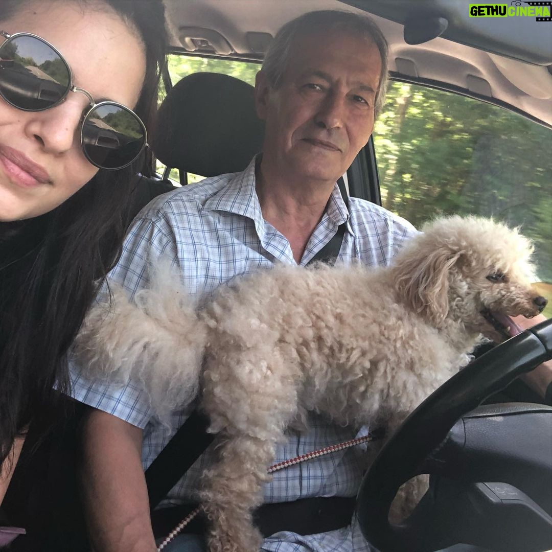 Natasa Stankovic Instagram - ππ₯Ίπ Eliot β€οΈ love you forever my first furry baby ππ«β¨ 13.03.2007-27.09.2022