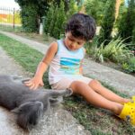 Natasa Stankovic Instagram - 🐈‍⬛ #friends ❤️