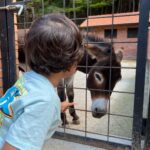 Natasa Stankovic Instagram -