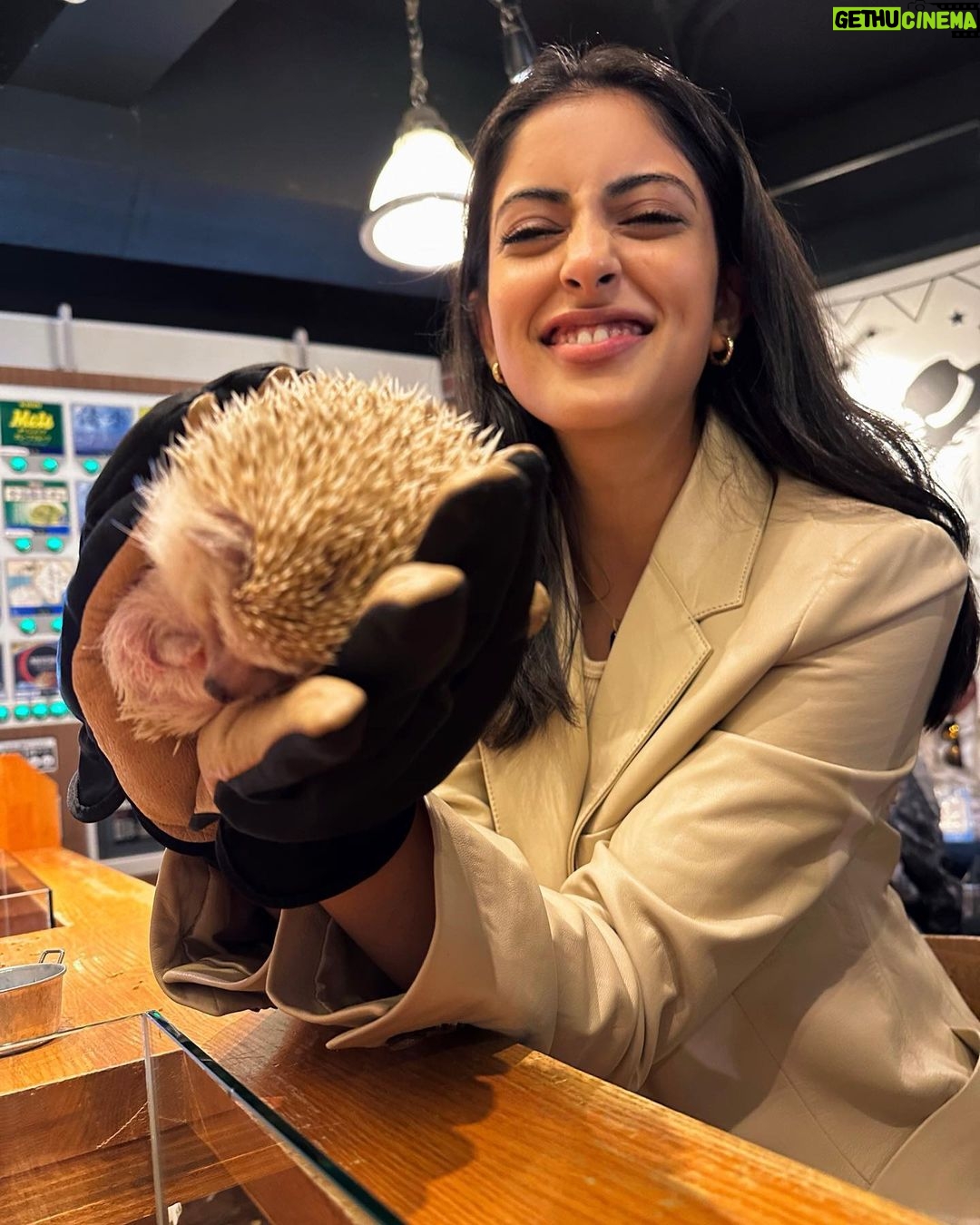 Navya Naveli Nanda Instagram - New friend 🦔 🇯🇵 Tokyo,Japan 東京,日本