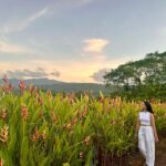 Navya Naveli Nanda Instagram - when the moment is… 💛🌷