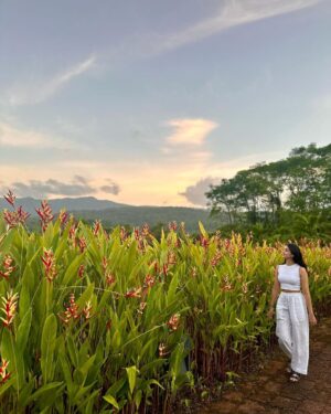 Navya Naveli Nanda Instagram - when the moment is… 💛🌷