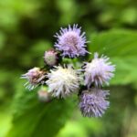 Nidhi Bhanushali Instagram - Things I’m very often surrounded by that freak me out but are fascinating up close - Part 1.