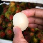Nidhi Bhanushali Instagram - New fruit unlocked! Rambutan lychee Or hairyyyy lychee It looked hideous to me at first but ☝🏻 bite and I was charmed. What are your thoughts? #ninoandfruits Bangkok, Thailand