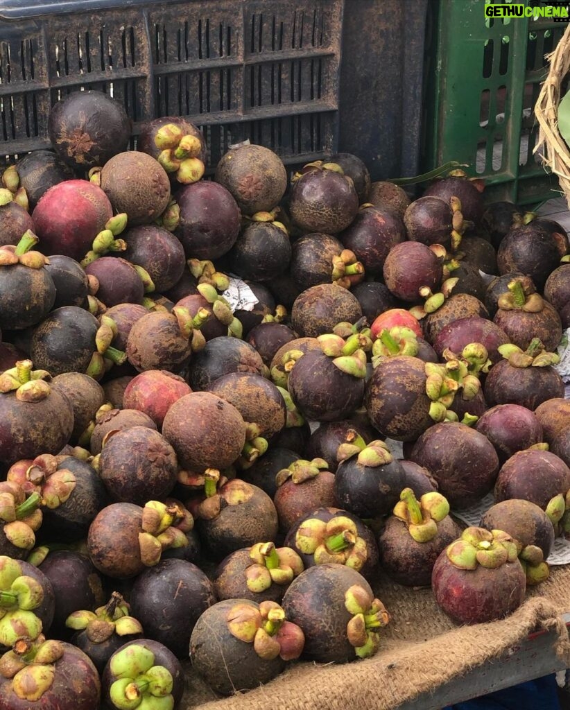 Nidhi Bhanushali Instagram - New tropical fruits unlocked! 1-2 Mangosteen. The most exotic fruit i’ve ever had to opportunity to consume! Found a cart selling it randomly one day in Mangalore and it took our fancy immediately. It also is one of the most expensive fruits I’ve ever bought at ₹400 per kg. because of how rare and difficult to transport it is. 3-4 Red Dragon. Growing up in a fruit fanatic household, white dragon fruit is part of our daily intake but never had i ever eaten a purple one until last week. Oh so tender and so sweet! 5-6 Snake fruit. With the outer shell exactly like that of a snake’s scales and inside not too far away from jackfruit - this fruit, native to Indonesia, is definitely one of its kind. 7 @_ninosaur caught in the moment most probably giving thanks to the universe for make all these fingerlicking delicious fruits! #ninoandfruits