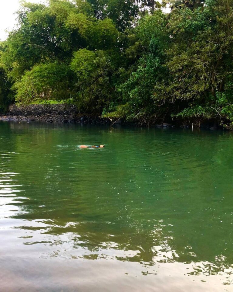 Nidhi Bhanushali Instagram - More often than not a cold swim is all you need. SACRED RIVER