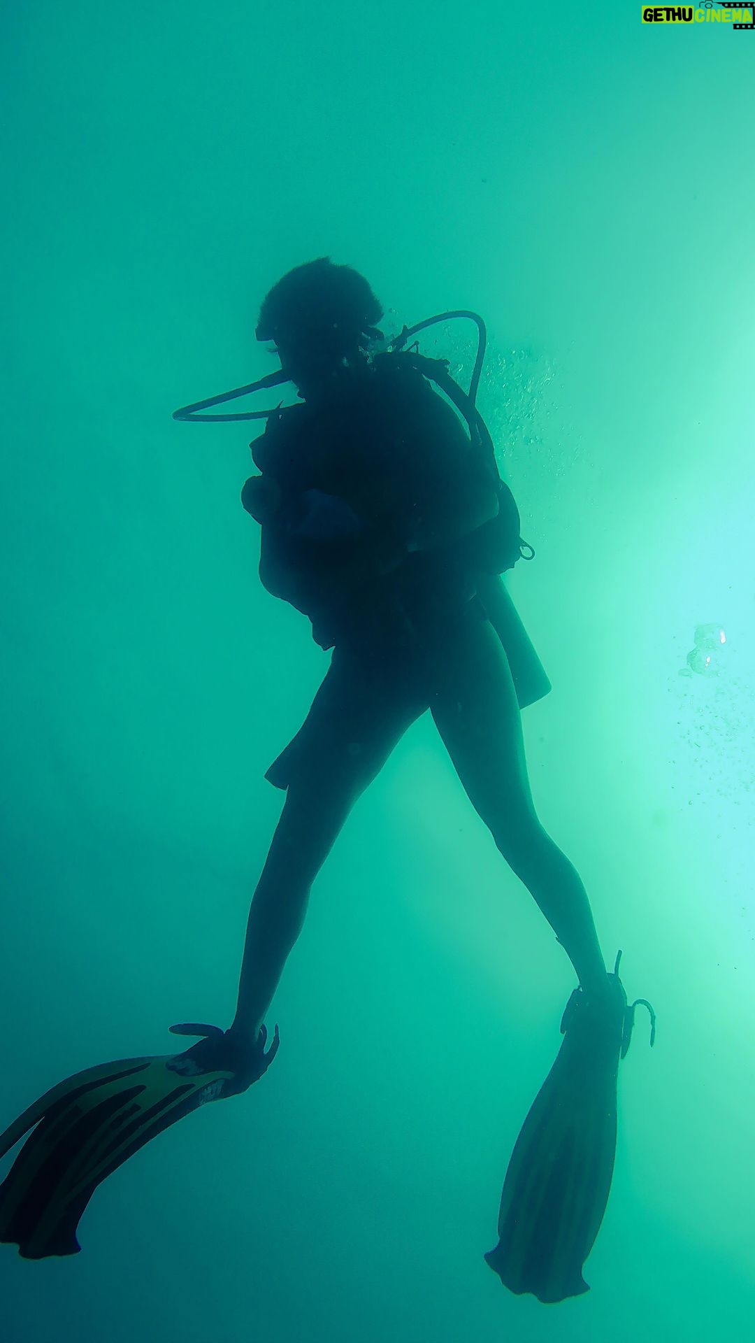 Nidhi Bhanushali Instagram - The first time you witness such a magnificent school of fish, it’ll leave you in total awe. Nature’s ballet, an enchanting symphony of movement. Pulau Perhentian Kecil, Malaysia