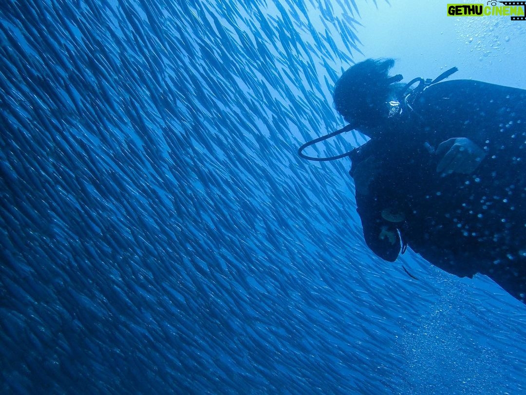 Nidhi Bhanushali Instagram - We are absolutely thrilled to present our long-awaited scuba diving adventures, where we embark on an extraordinary journey to explore the hidden wonders of the deep sea. Join us as we dive into the vast and mesmerizing 71% of the Earth's surface, uncovering its mysteries one breath at a time. These unforgettable experiences have become the pinnacle of my life, as we immerse ourselves in breathtaking moments that will stay with us forever. Big Thanks to @quiverdiveteammalaysia New Video out on our YouTube channel, take a dip in it now! Link in Bio.
